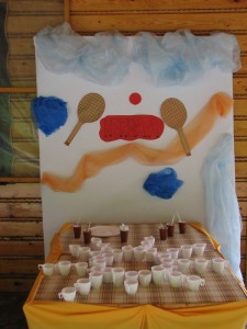 SOS_2011 (3)